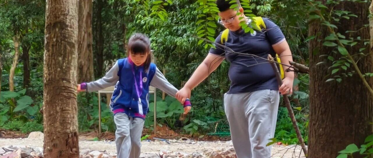 汇小人均2万步